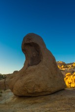 is a photograph by T.M. Schultze taken at Joshua Tree National Park, California