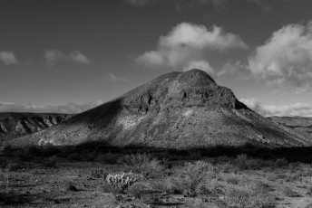 is a photograph by T.M. Schultze taken at Anza-Borrego Desert State Park, California