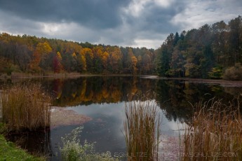 Sylvan's Color is a photograph by T.M. Schultze taken at Cuyahoga Valley National Park, Ohio
