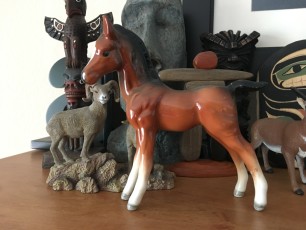 Quarter Horse Given To Robert Davidson, 1985