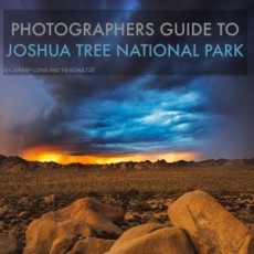 Photographer's Guide To Joshua Tree National Park