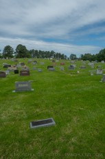 is a photograph by T.M. Schultze taken at , Kentucky
