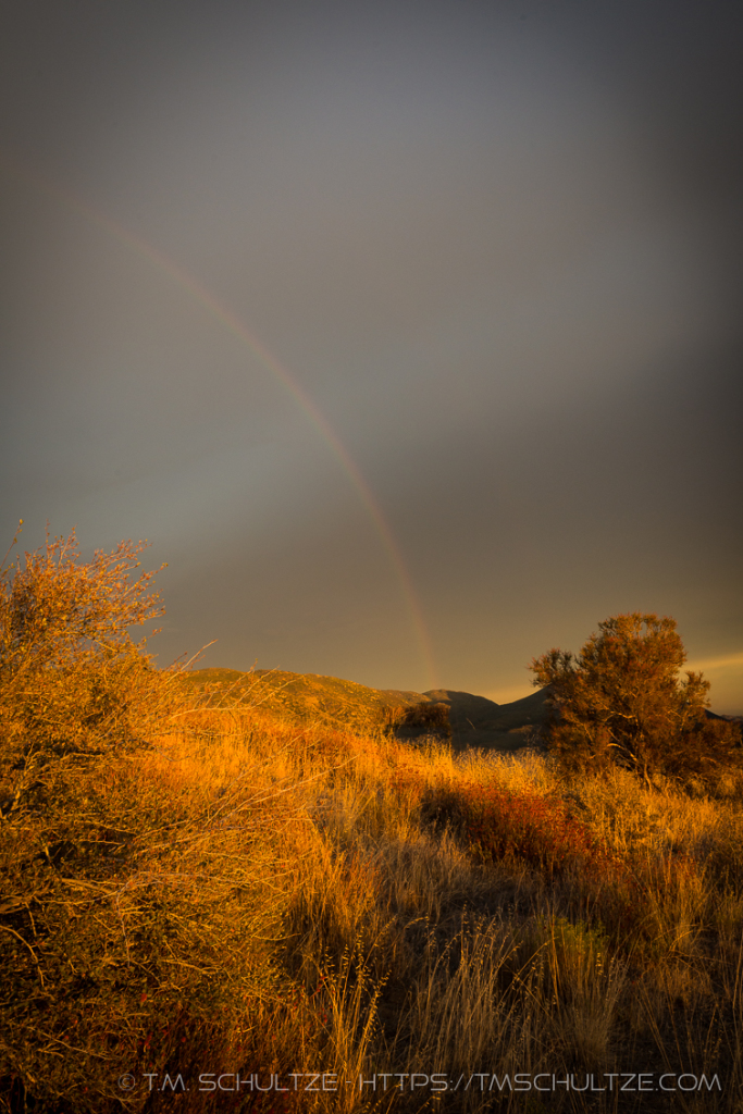 Chaparral Rainbow