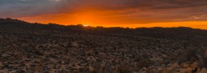 Christmas Eve From Joshua Tree - Panorama