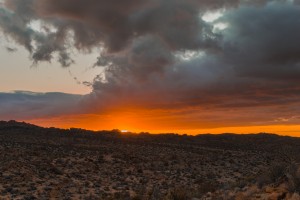 Christmas Eve From Joshua Tree