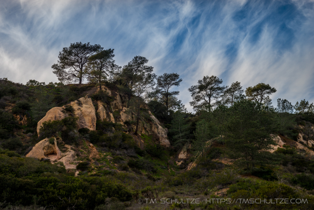 Torrey Pines Bluffs