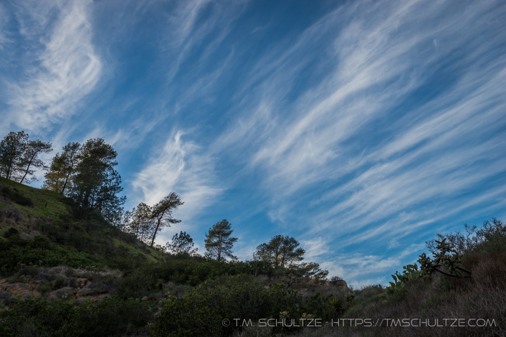 Torrey Pines Hills