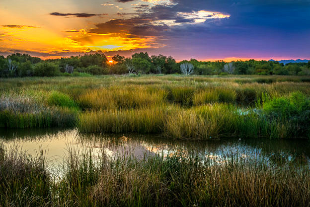 East Wetlands Sunrise by T.M. Schultze