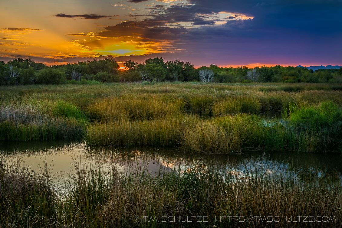 East Wetlands Sunrise