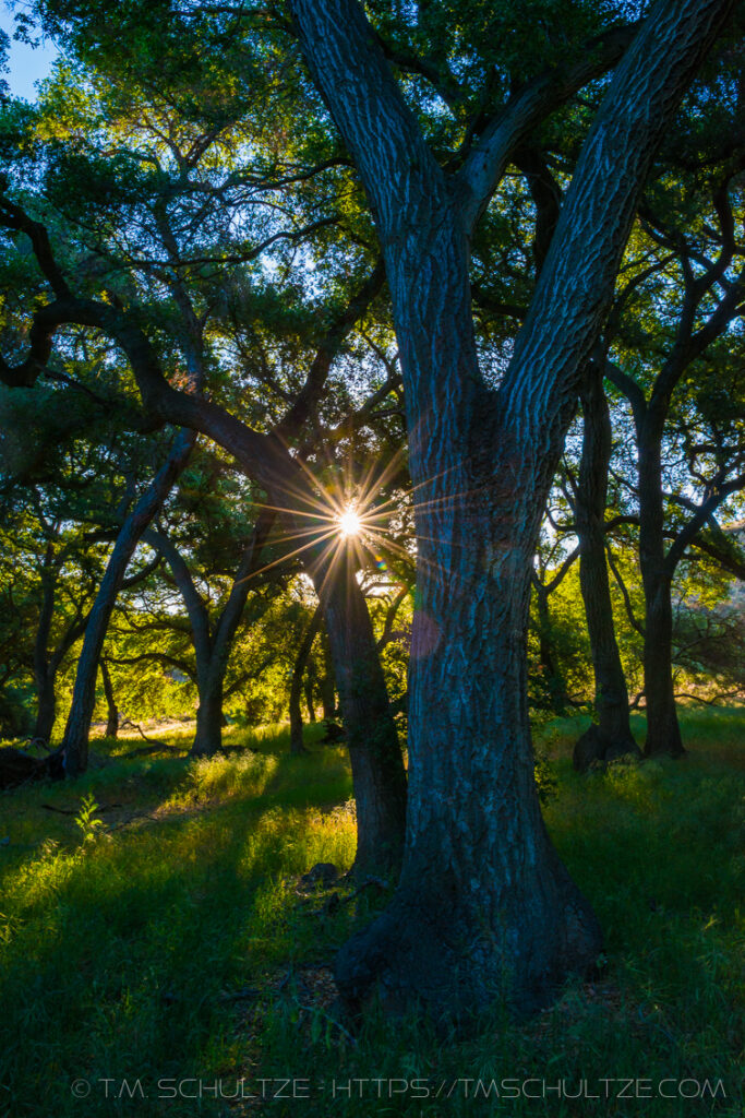 Sun Peek Hollenbeck Canyon