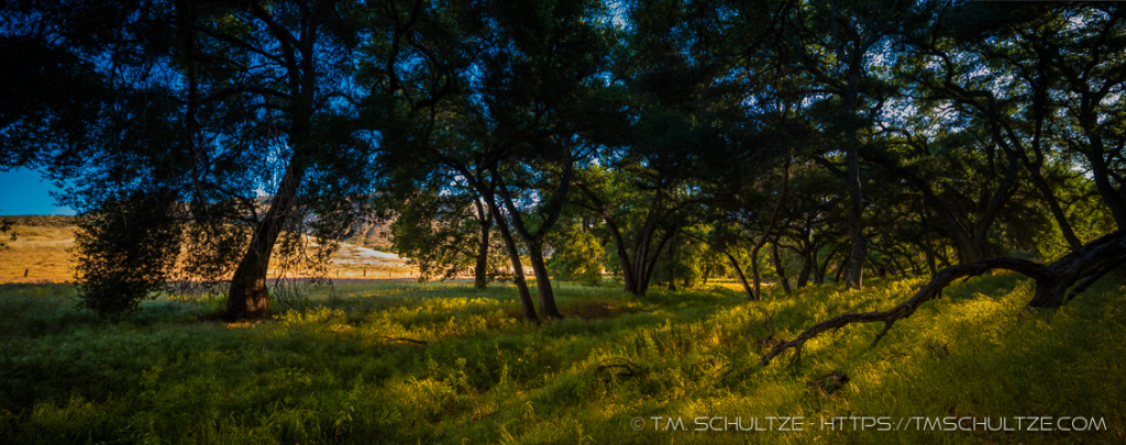 Hollenbeck Canyon Panorama