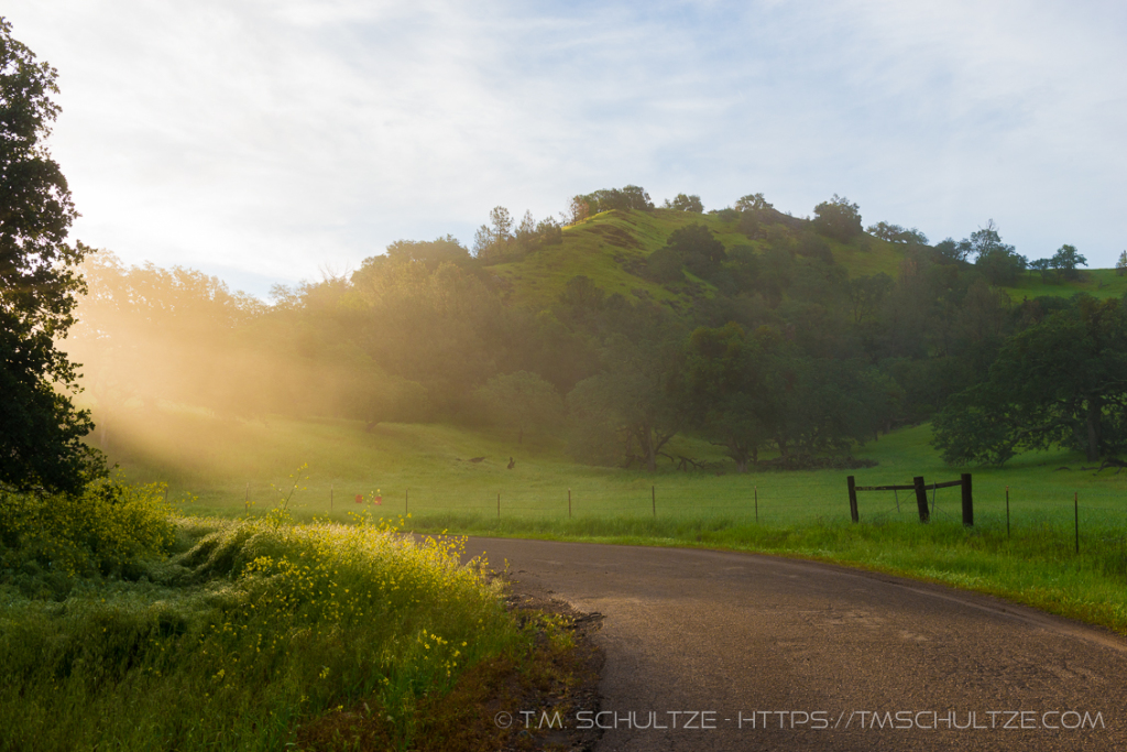 Morning Mist Figueroa Mountain Road