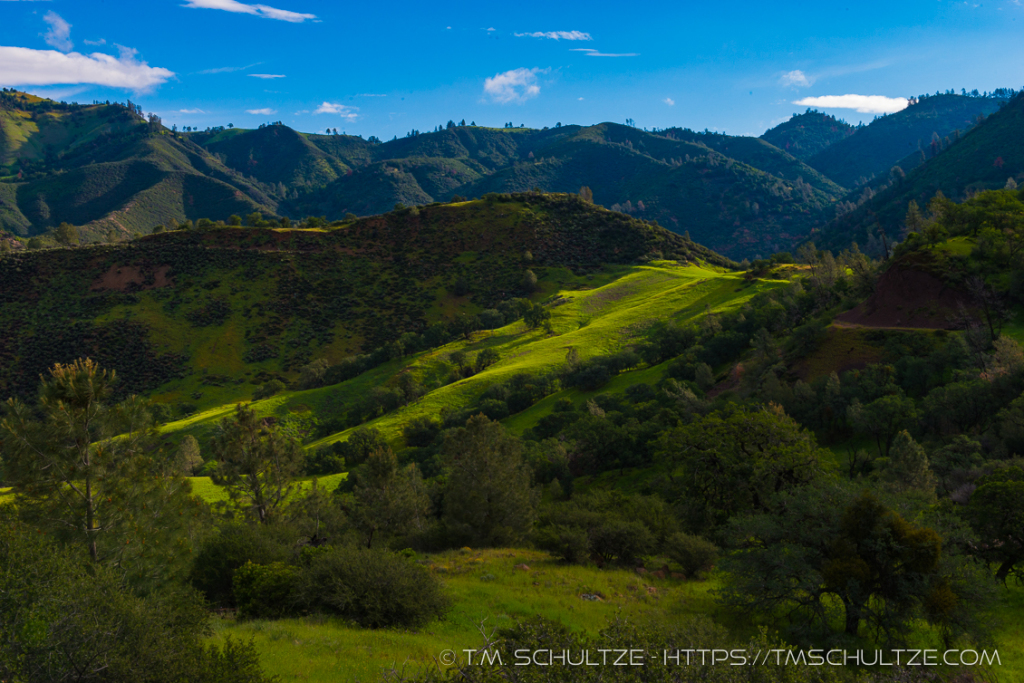 Canyon Below Figueroa Mountain Spring