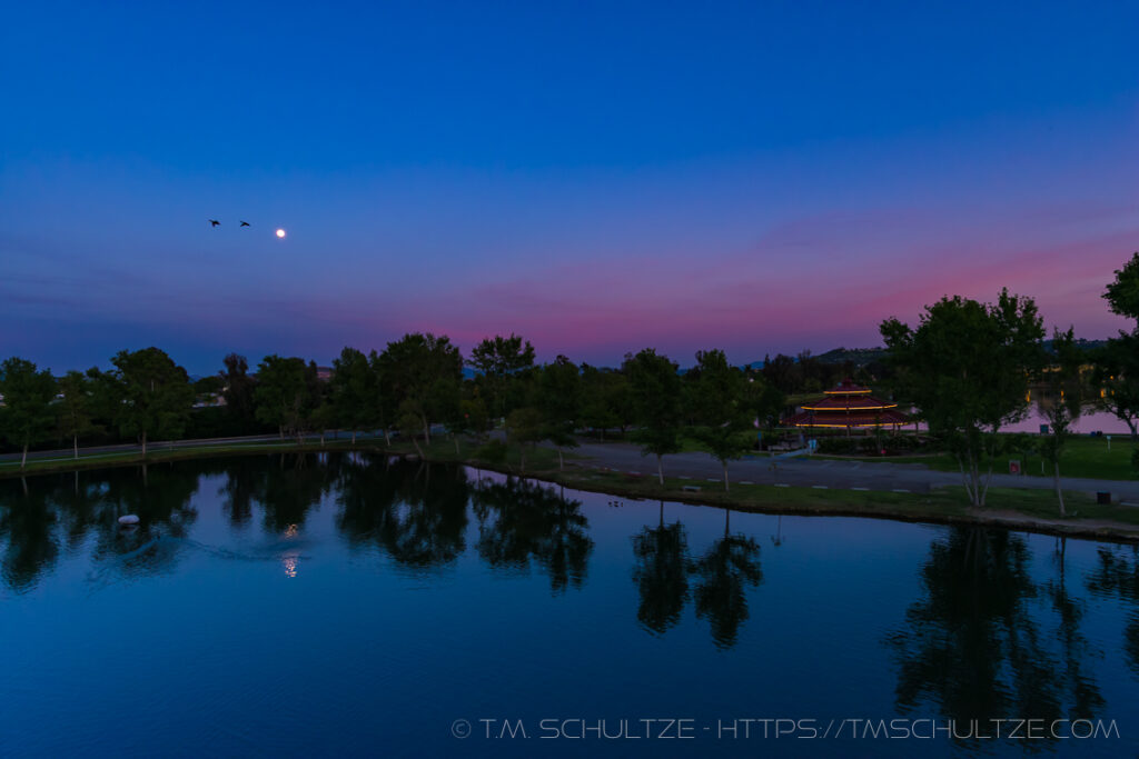 Birds Moonlight Santee Lakes