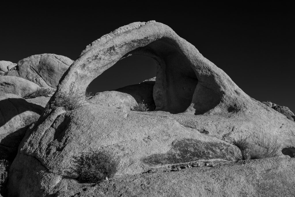 Coxcomb Arch, Black and White JT