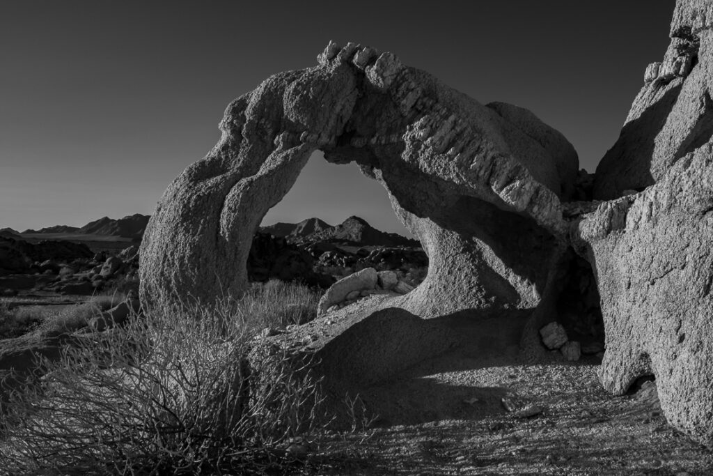 Dinosaur Window, Black and White JT