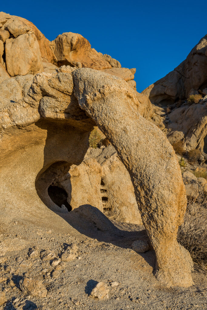 Dinosaur Window and Cubby Holes JT