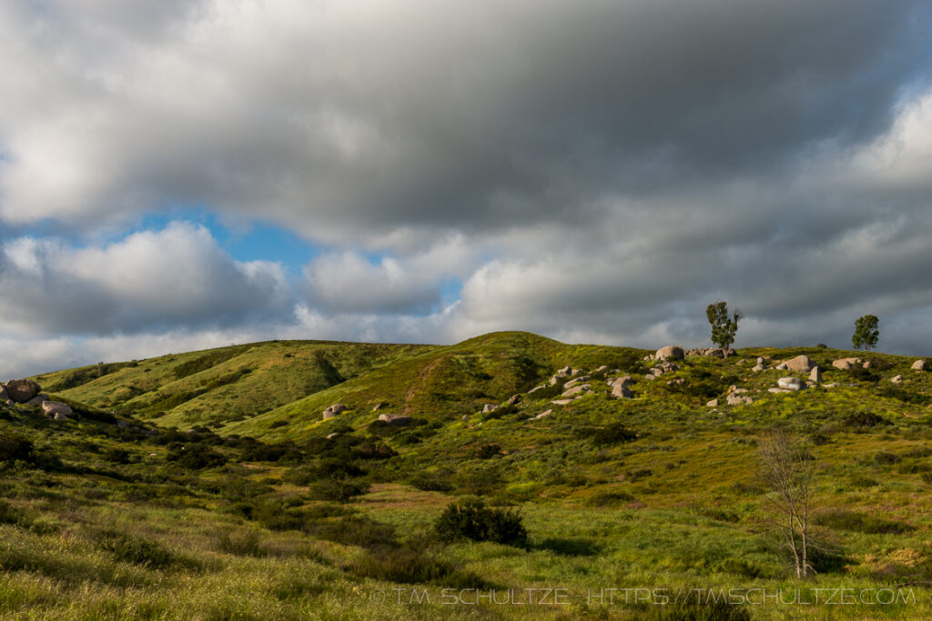 Santee Rocks Spring