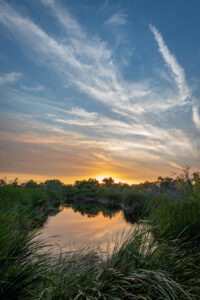 Quiet Lake by T.M. Schultze - a favorite photograph of 2018