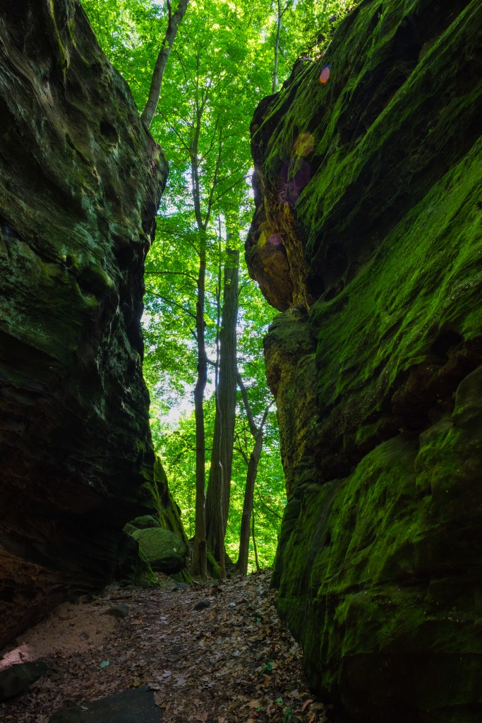 Whipps Ledges by T.M. Schultze